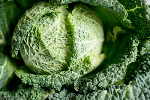 green cabbage