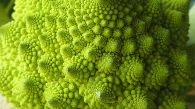 romanesco cabbage