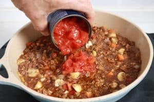 addin tomatoes to meat base
