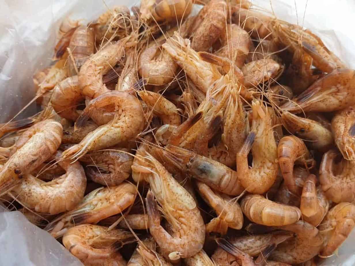 unpeeled cooked grey shrimps