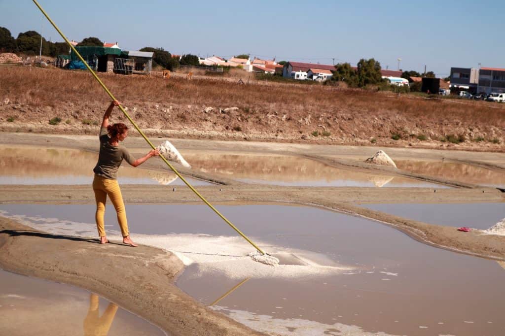 fields of sea salt