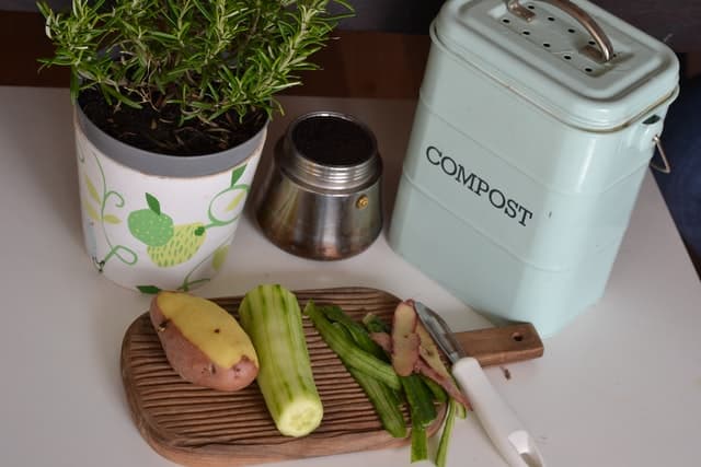 Counter Top Composter 