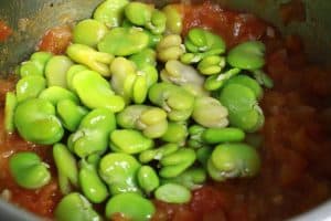 fava beans added to tomato concassee