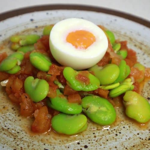fava beans with tomato concassee