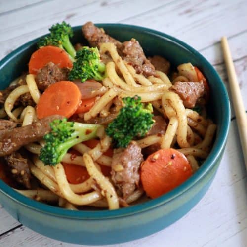 udon noodles