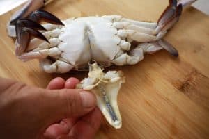 discard abdominal parts of the crab