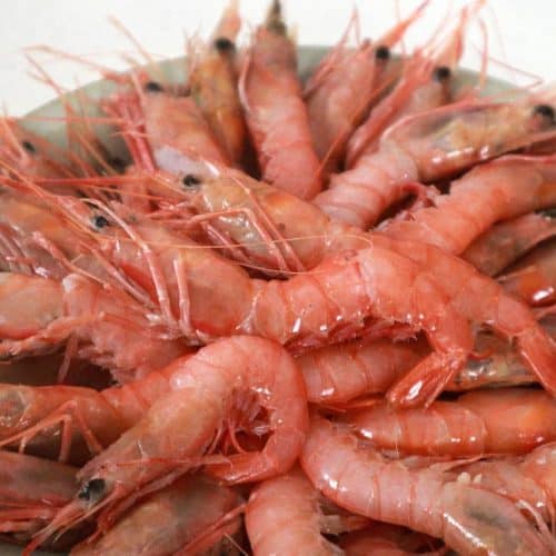 steamed pink shrimps