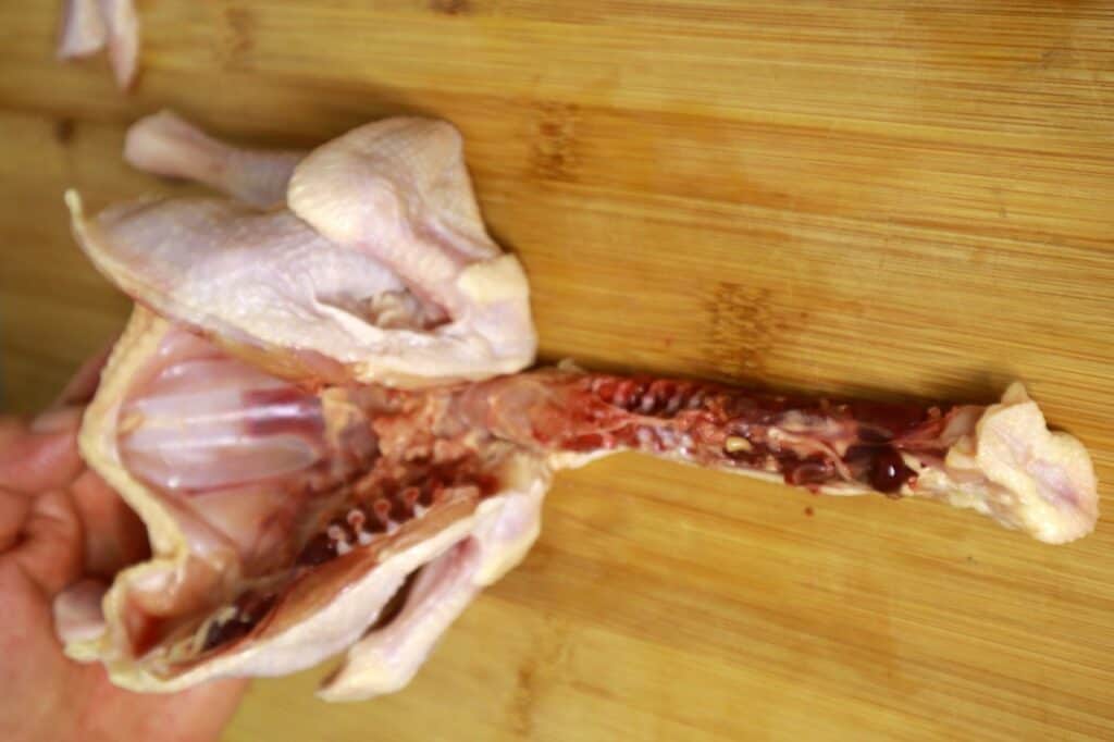 cut the back bone of chicken