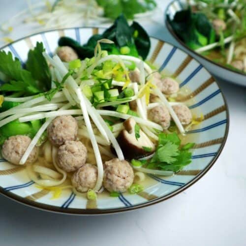 pork meat ball noodle soup