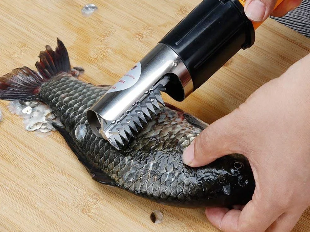 The Electric Scaler for Fish - a Revolution to Seafood Preparation ...