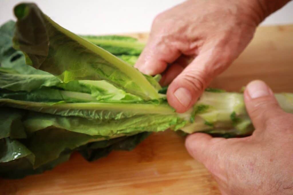 cut the leaves of the stem lettuce