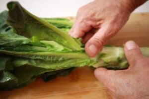 cut the leaves of the stem lettuce