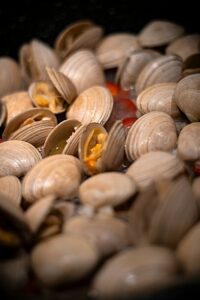 cooked clams